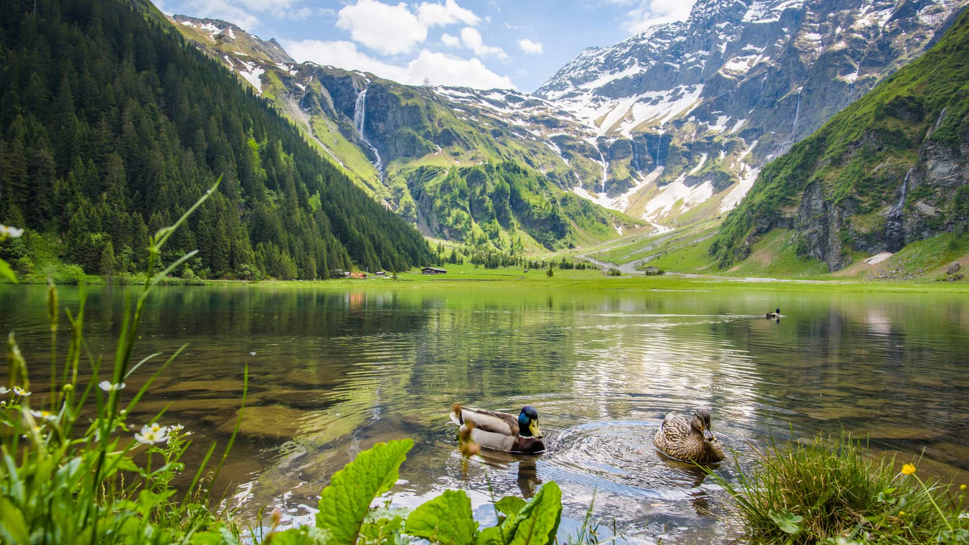 Bergstadt Mittersill im Nationalpark Hohe Tauern